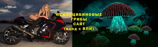дурь Майский
