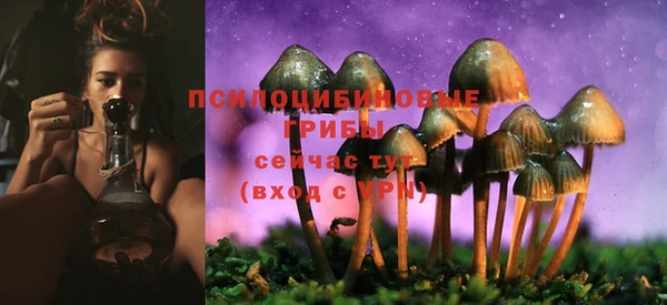 индика Архангельск